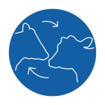 Cattle direct contact icon